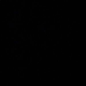 Meet your Posher, Marcanthony